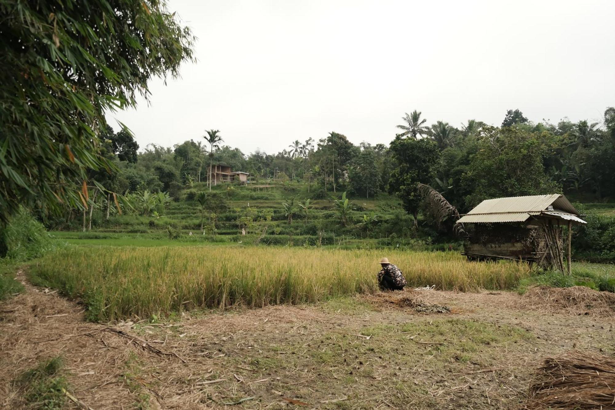 Alora House Lombok Tete Batu 호텔 테테바투 외부 사진